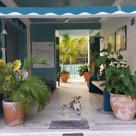 Delphinus Inn Santa Cruz Huatulco Εξωτερικό φωτογραφία