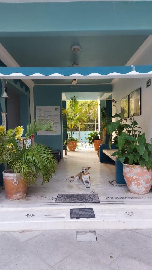 Delphinus Inn Santa Cruz Huatulco Εξωτερικό φωτογραφία